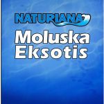 Naturiana: Moluska Eksotis
